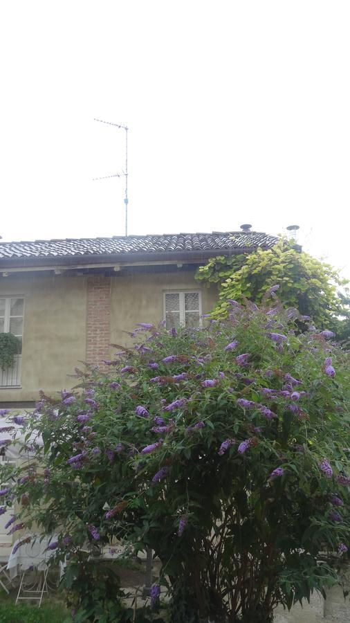 La Culla Di Bacco Bed & Breakfast Castagnole Monferrato